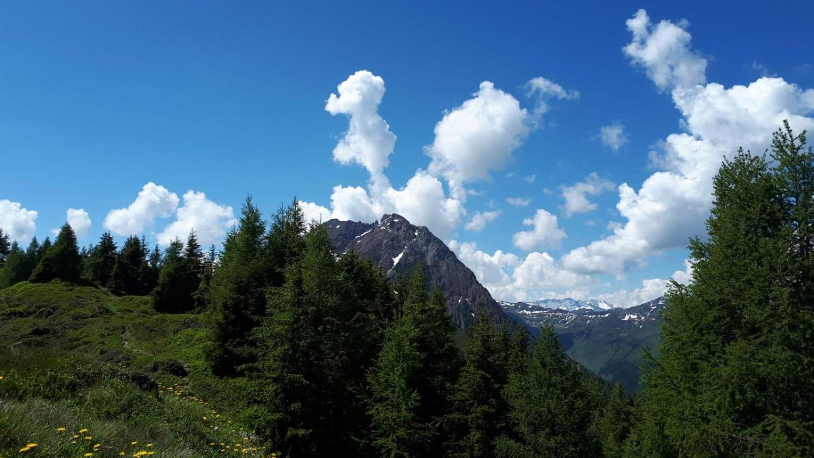 Ferienhaus Willms Am Gaisberg Kirchberg in Tirol Ngoại thất bức ảnh