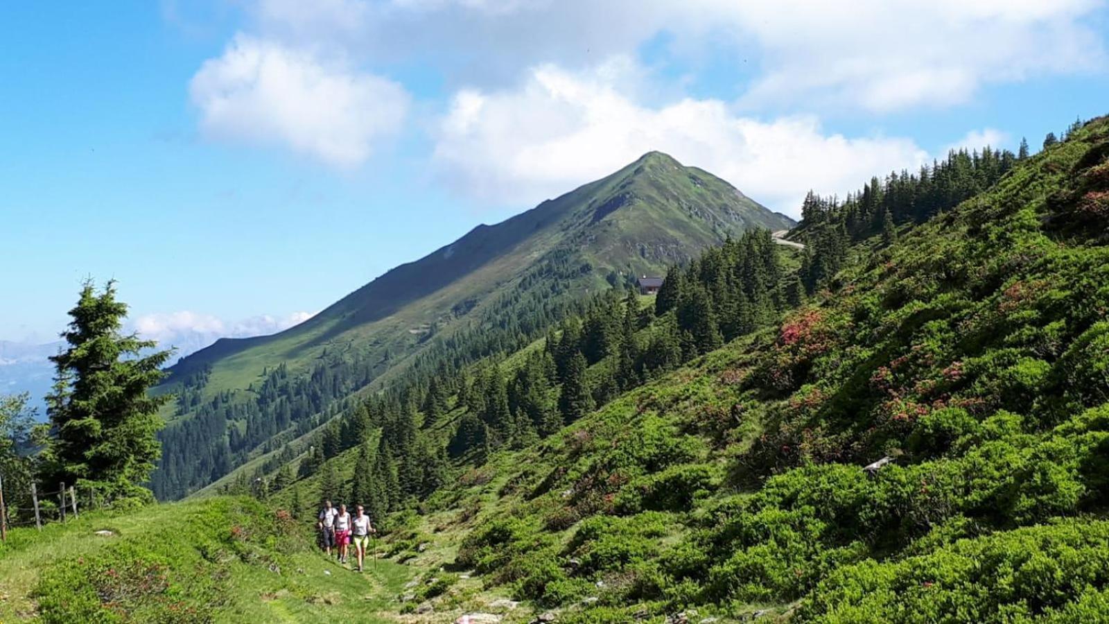 Ferienhaus Willms Am Gaisberg Kirchberg in Tirol Ngoại thất bức ảnh